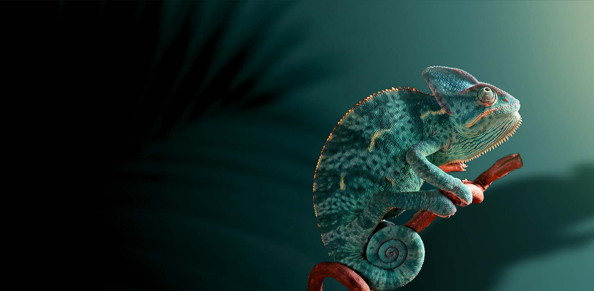 Unique IP Based KVM Video Collaboration System