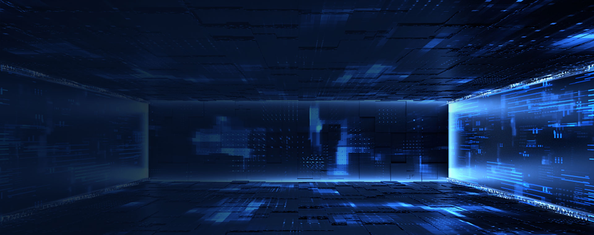 Optional Platform/Software for DS.X