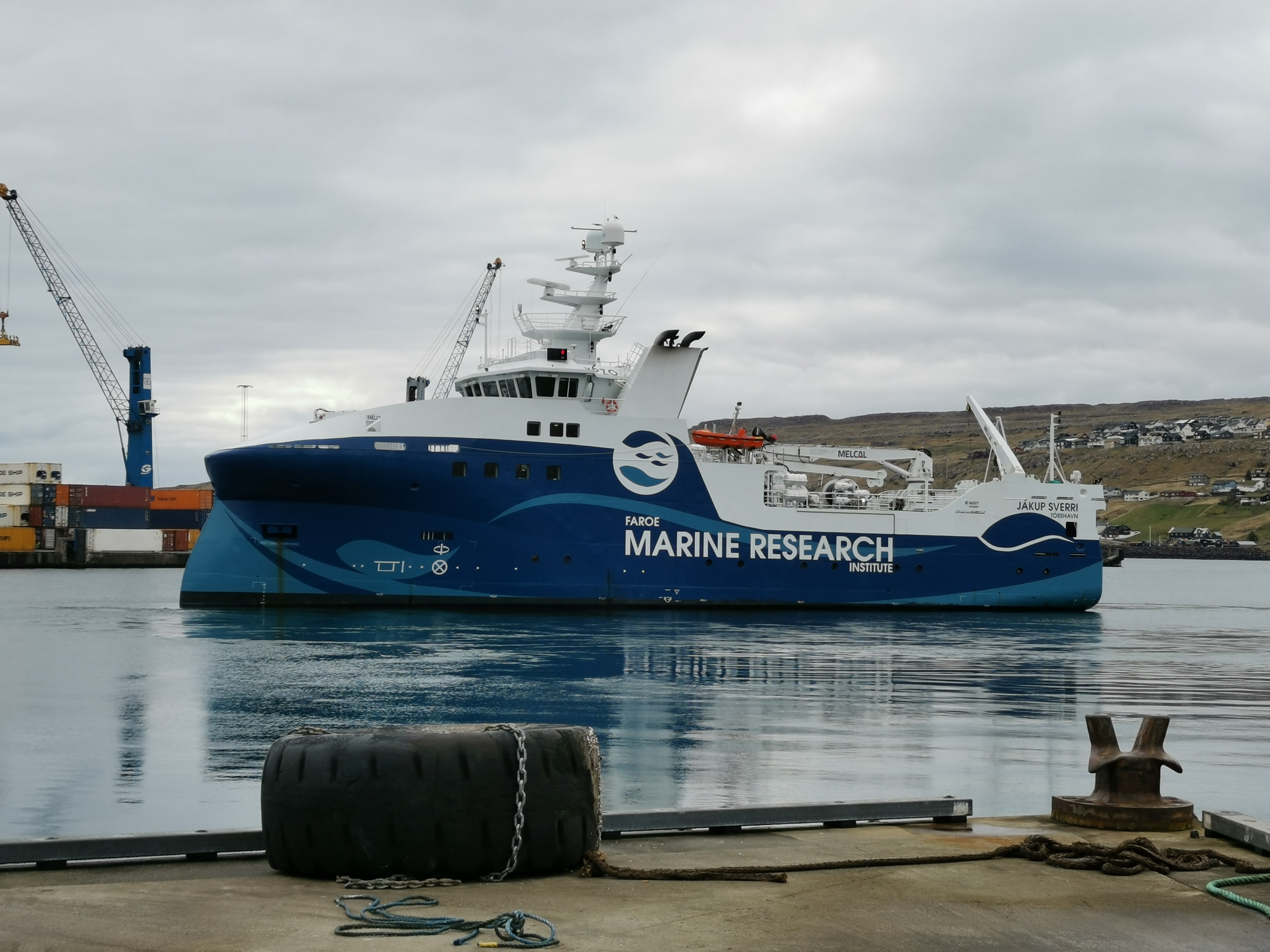 IMG_20210429_094123.jpg IMG_20210429_094123.jpg